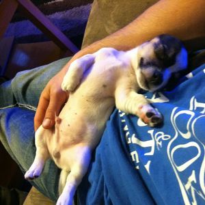 Meet your Posher, Brandon